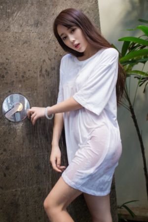 九重紫电视剧在线免费观看_高清高清免费观看