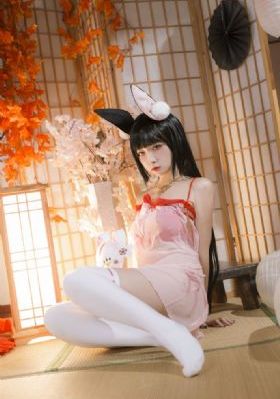 《红高粱》电视剧在线观看完整版_BD电影在线观看